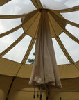 4m Lotus Stargazer