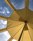 5m Lotus Stargazer