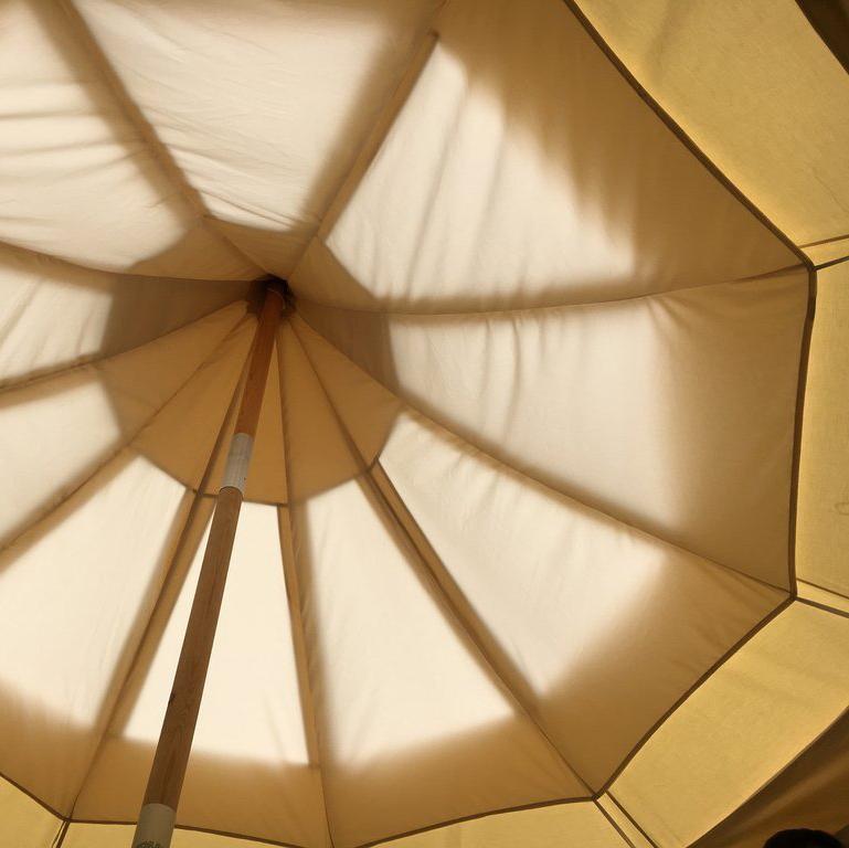 4m Lotus Stargazer
