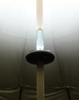 Pole light